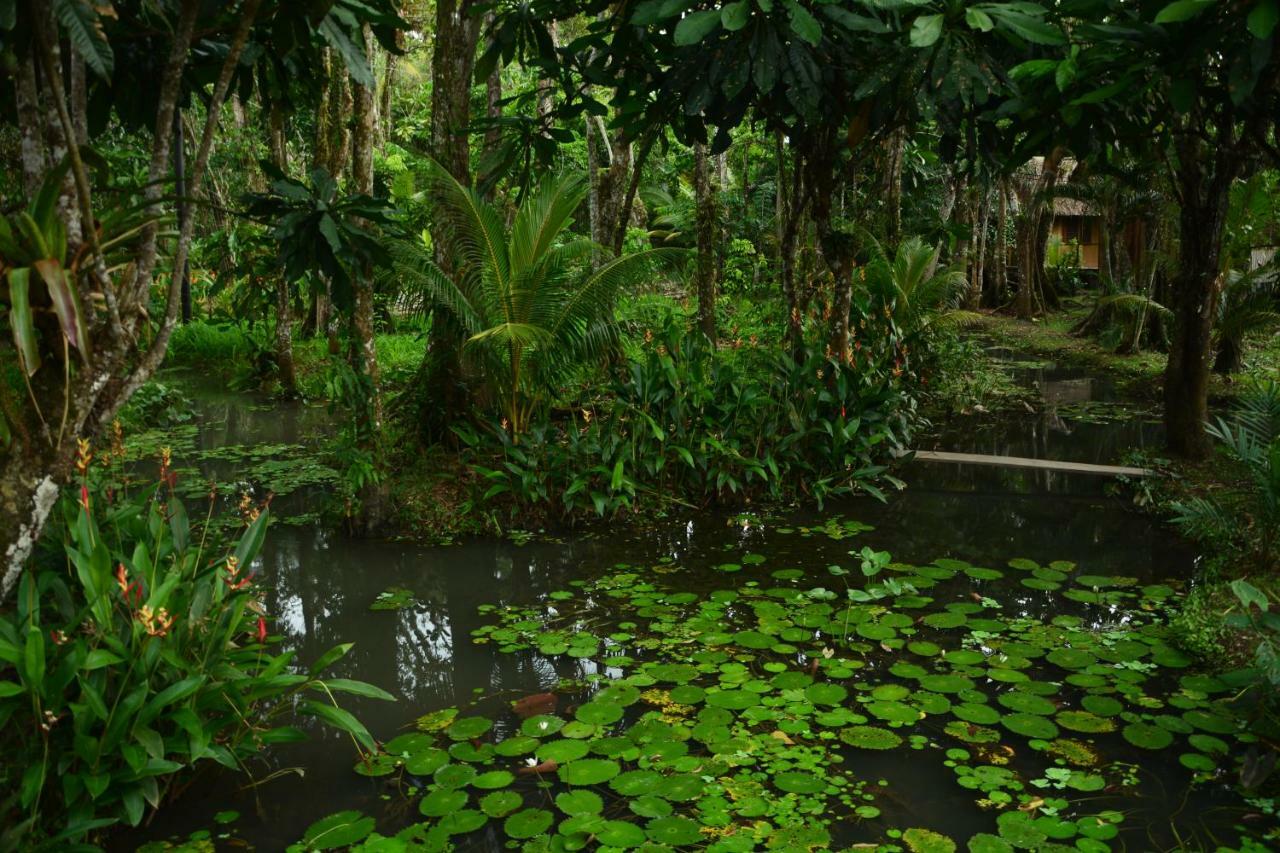 Hotel Kangaroo Y Restaurante Rio Dulce Exterior photo