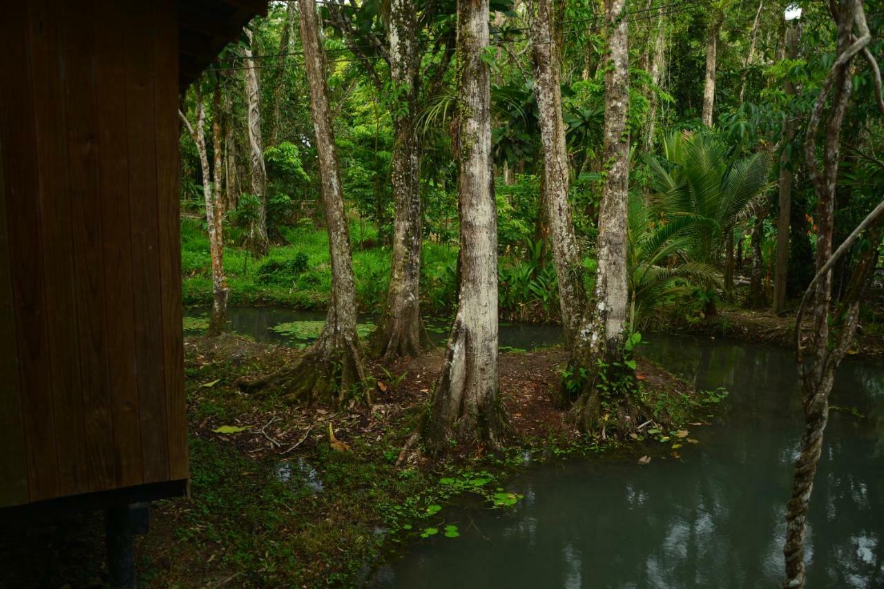 Hotel Kangaroo Y Restaurante Rio Dulce Exterior photo